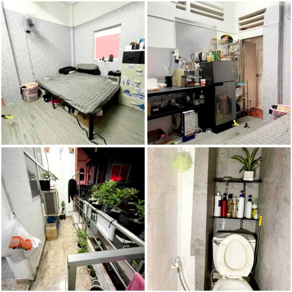 Nhà trọ số 205/52D Trần Văn Đang