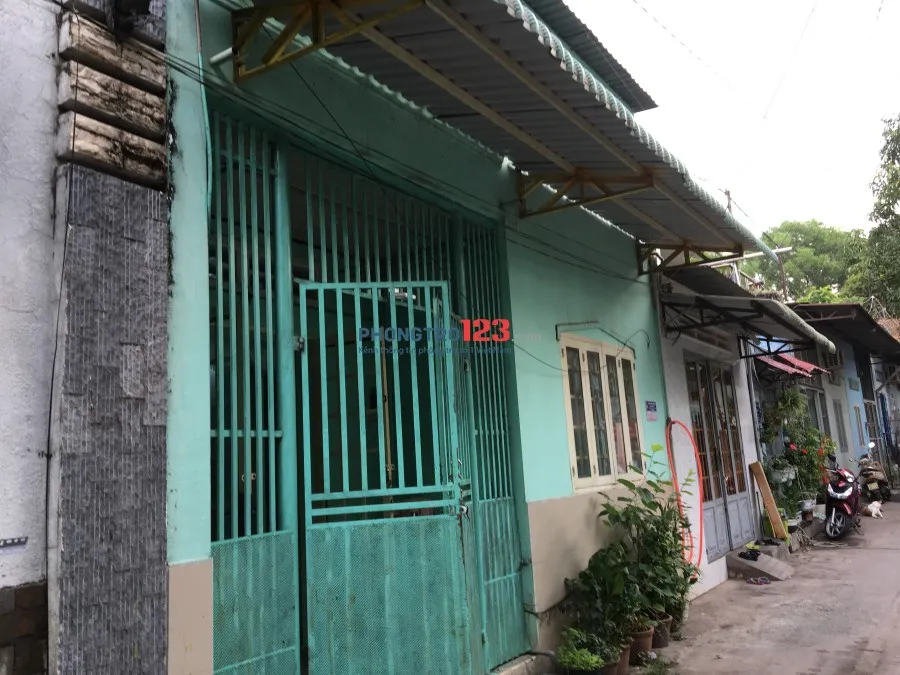 Cho thuê nhà nguyên căn giá rẻ tại Thủ Dầu Một