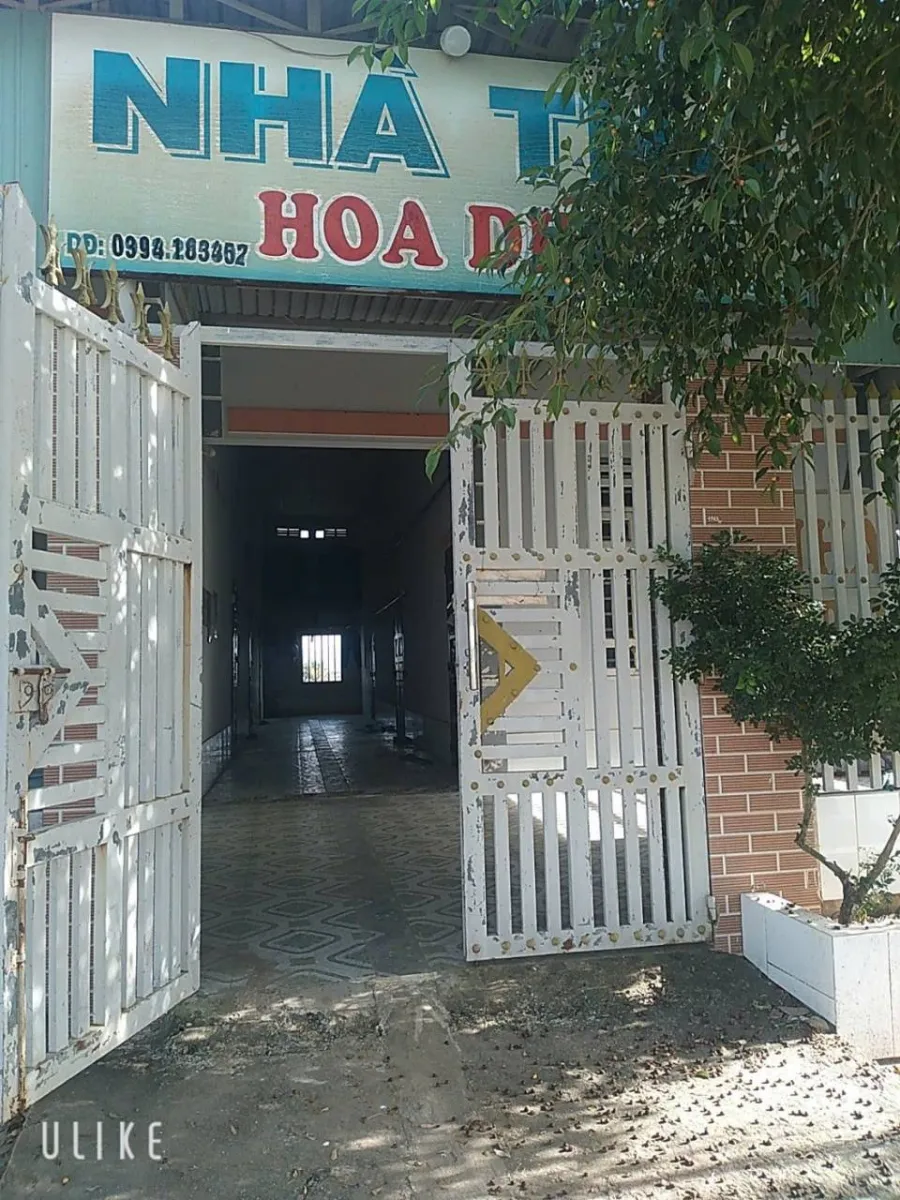 Bien xanh 