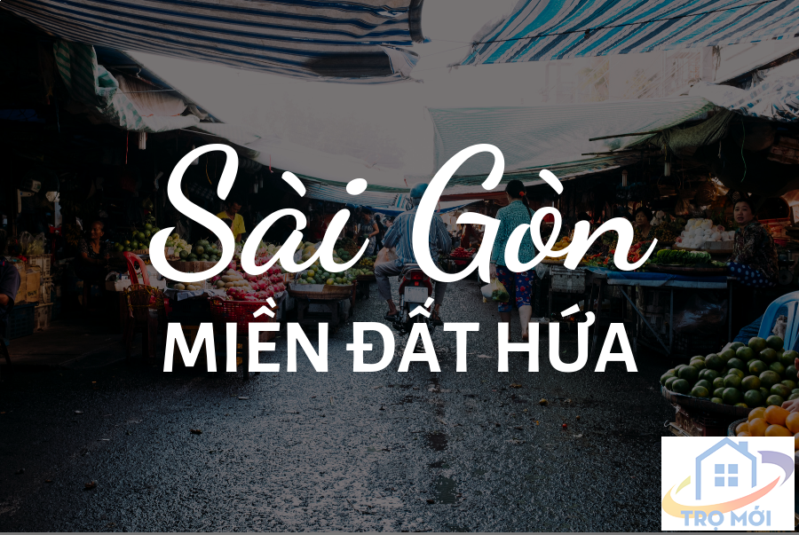 Sài Gòn - Miền đất hứa của những người trẻ