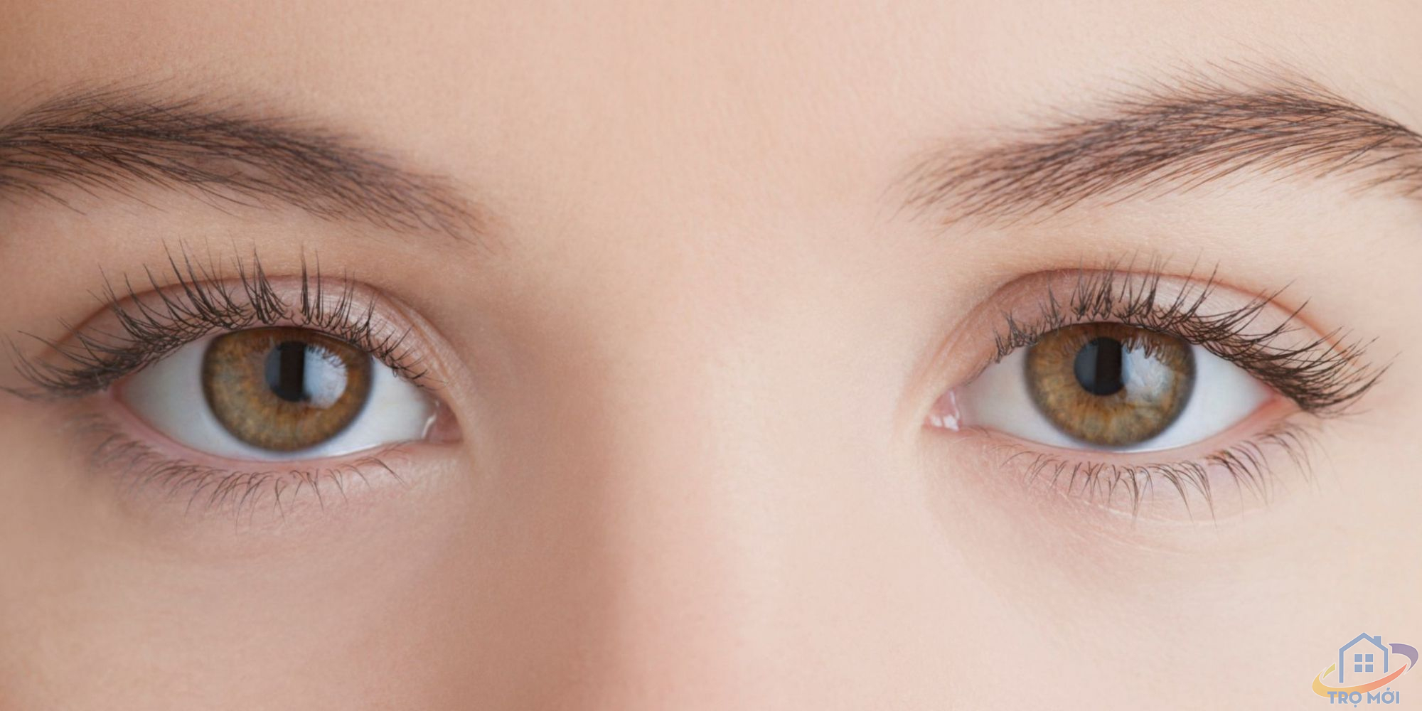Tuyệt chiêu hồi phục sức khỏe cho mắt sau kỳ thi căng thẳng
